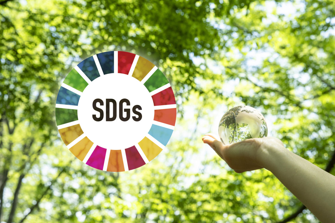 SDGs